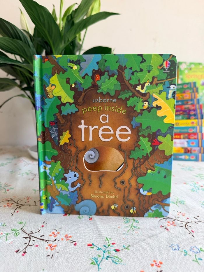 Peep inside A tree