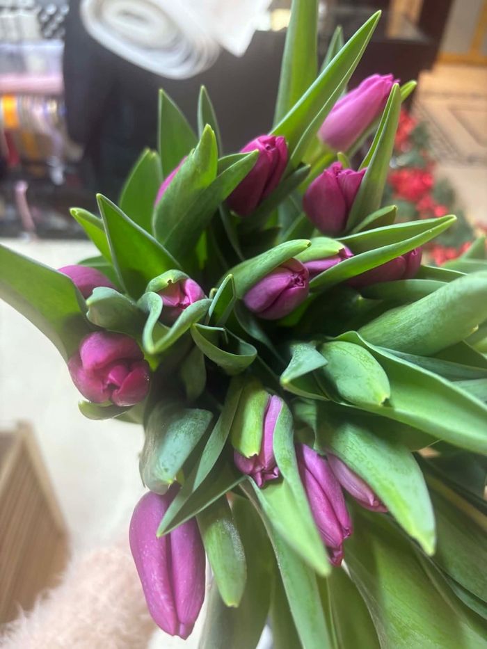 Голланд алтанзул ягаан