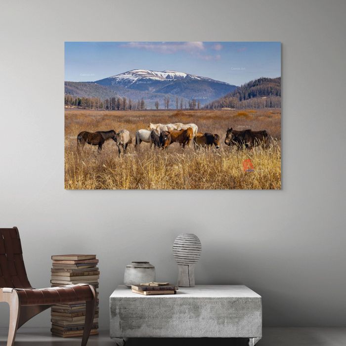 Бурхан Халдун хайрхан 