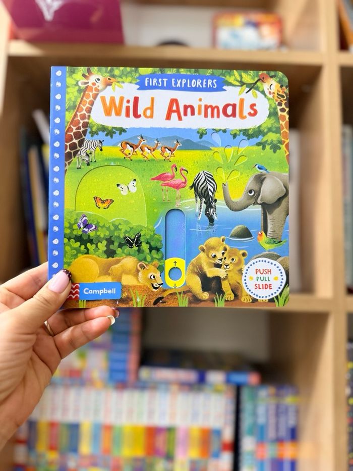 Busy Wild Animals