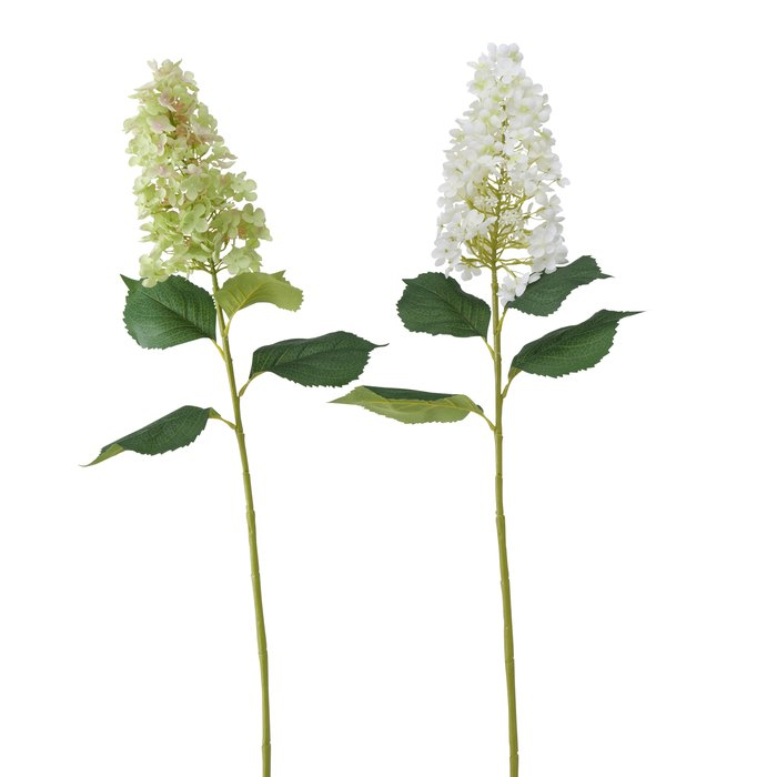 Flower 1sh
