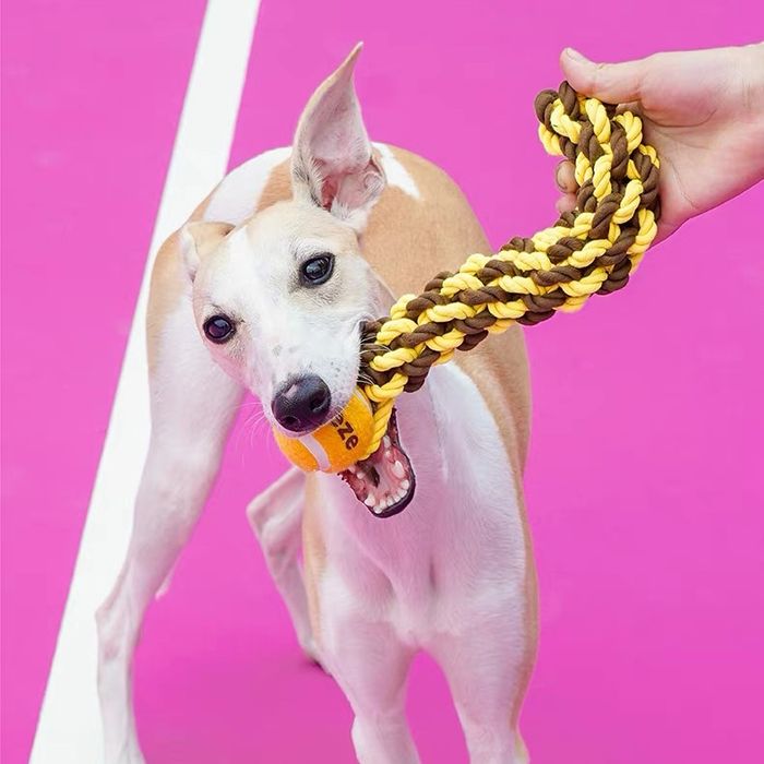 Rope Tennis Ball Toy