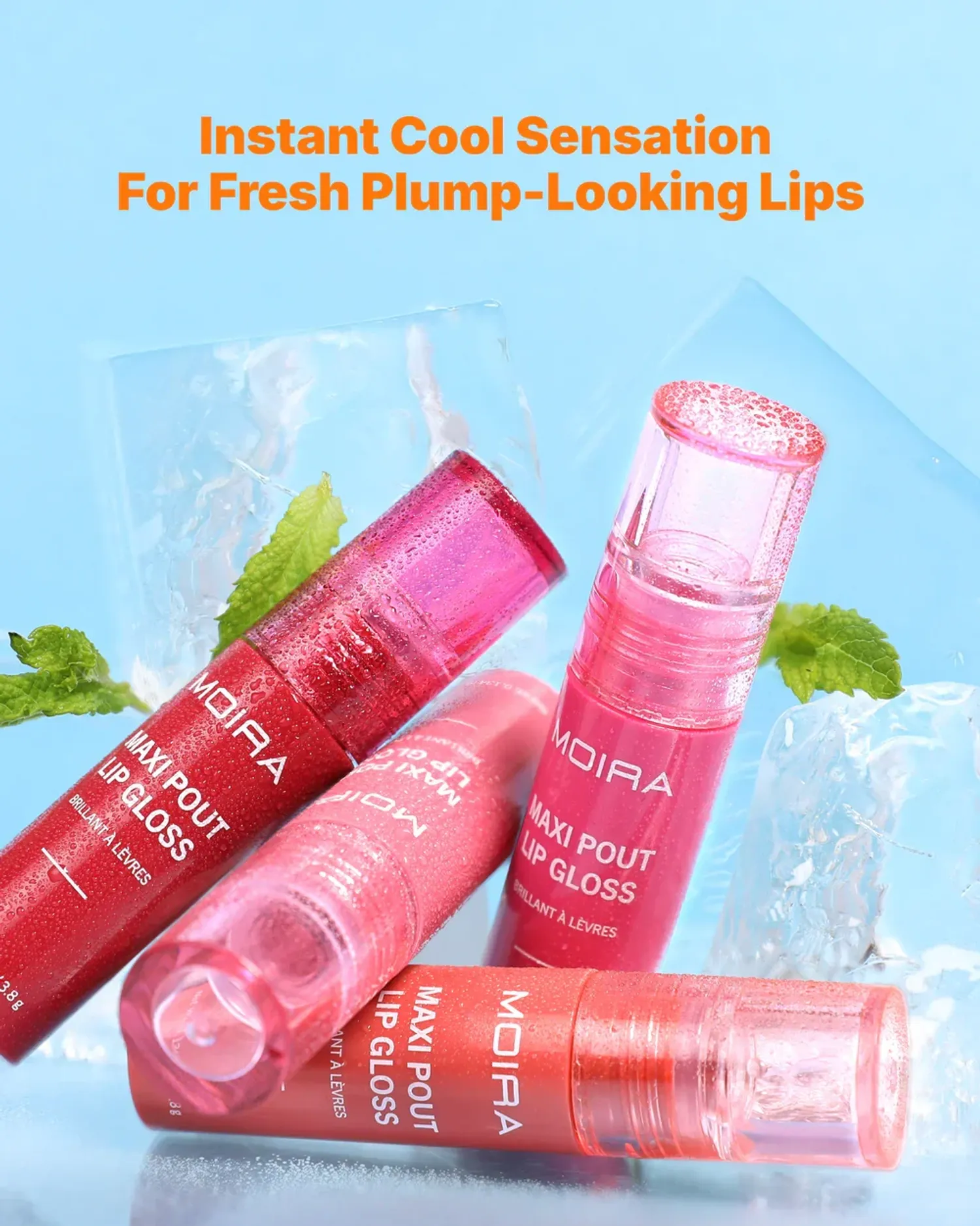 https://cdn.zochil.shop/622f23ba-08d7-4179-b858-cb8d1bf9b7b8_t1500.webp