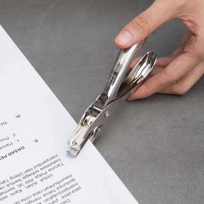 Цоологч DL 0114