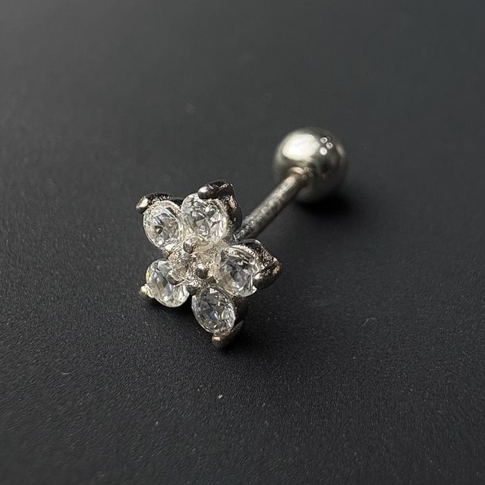 Мөгөөрсний ээмэг