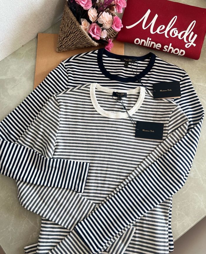 Massimo sudaltai tsamts