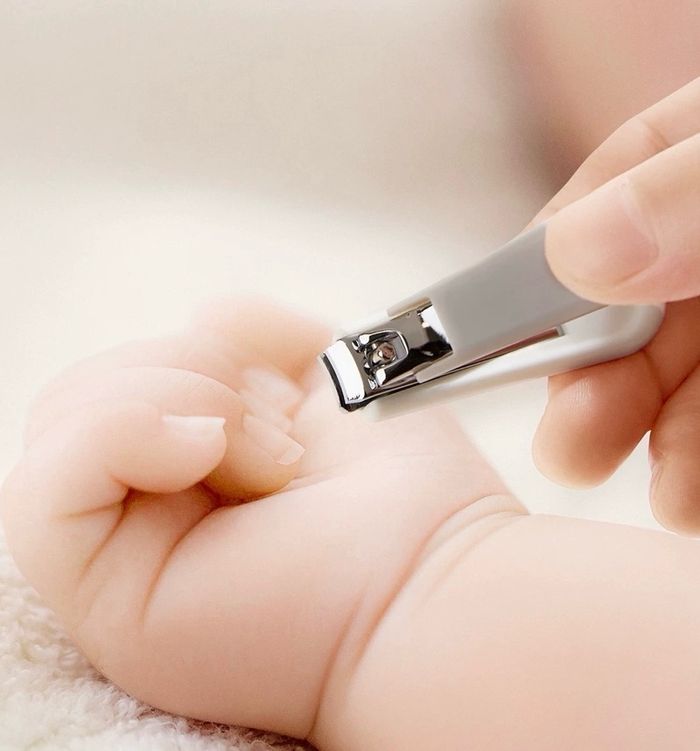 Арчилгааны иж бүрдэл