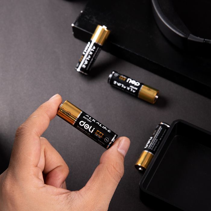 Зай АА/LR6 DL 18501