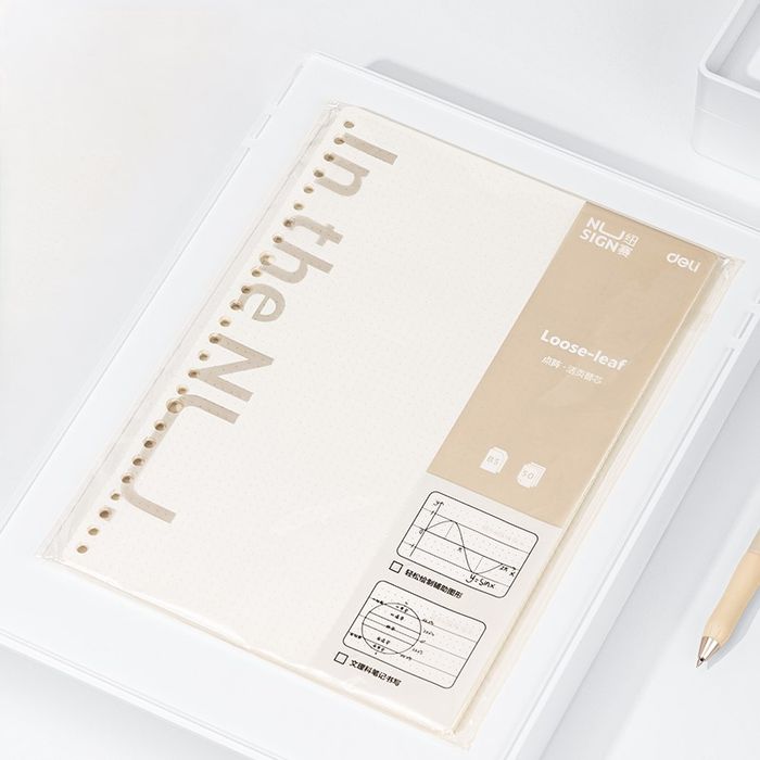 Тэмдэглэлийн дэвтэр запас B5 DL NS314