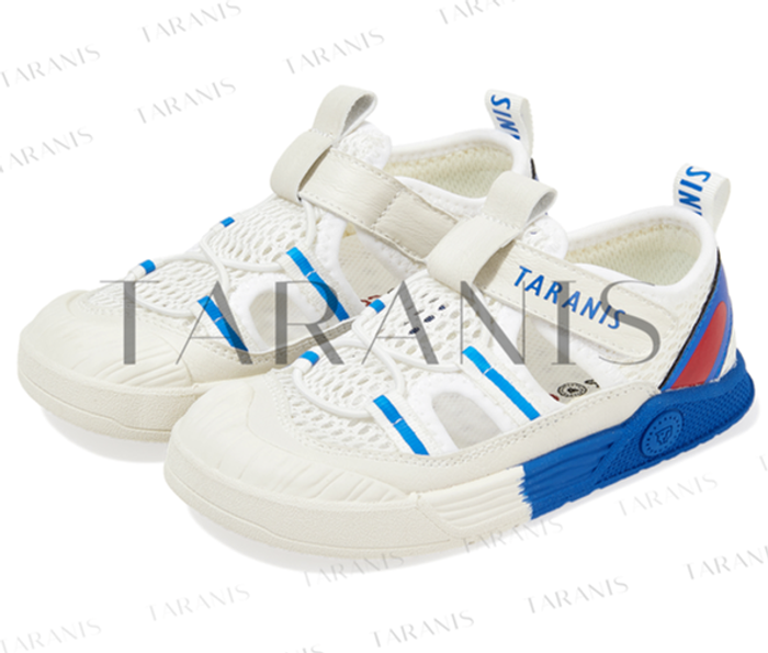 Сеткэн пүүз