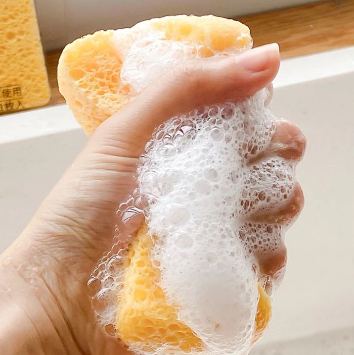 Цэвэрлгээний спонж