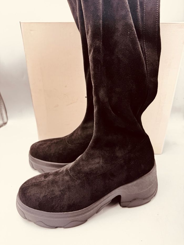 Diana хар суналттай урт түрийтэй