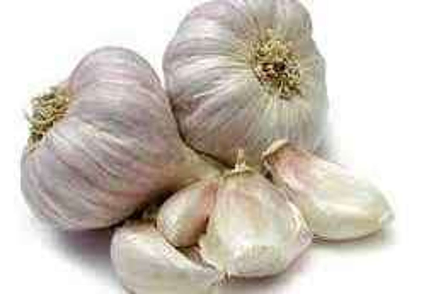 Сармис задгай