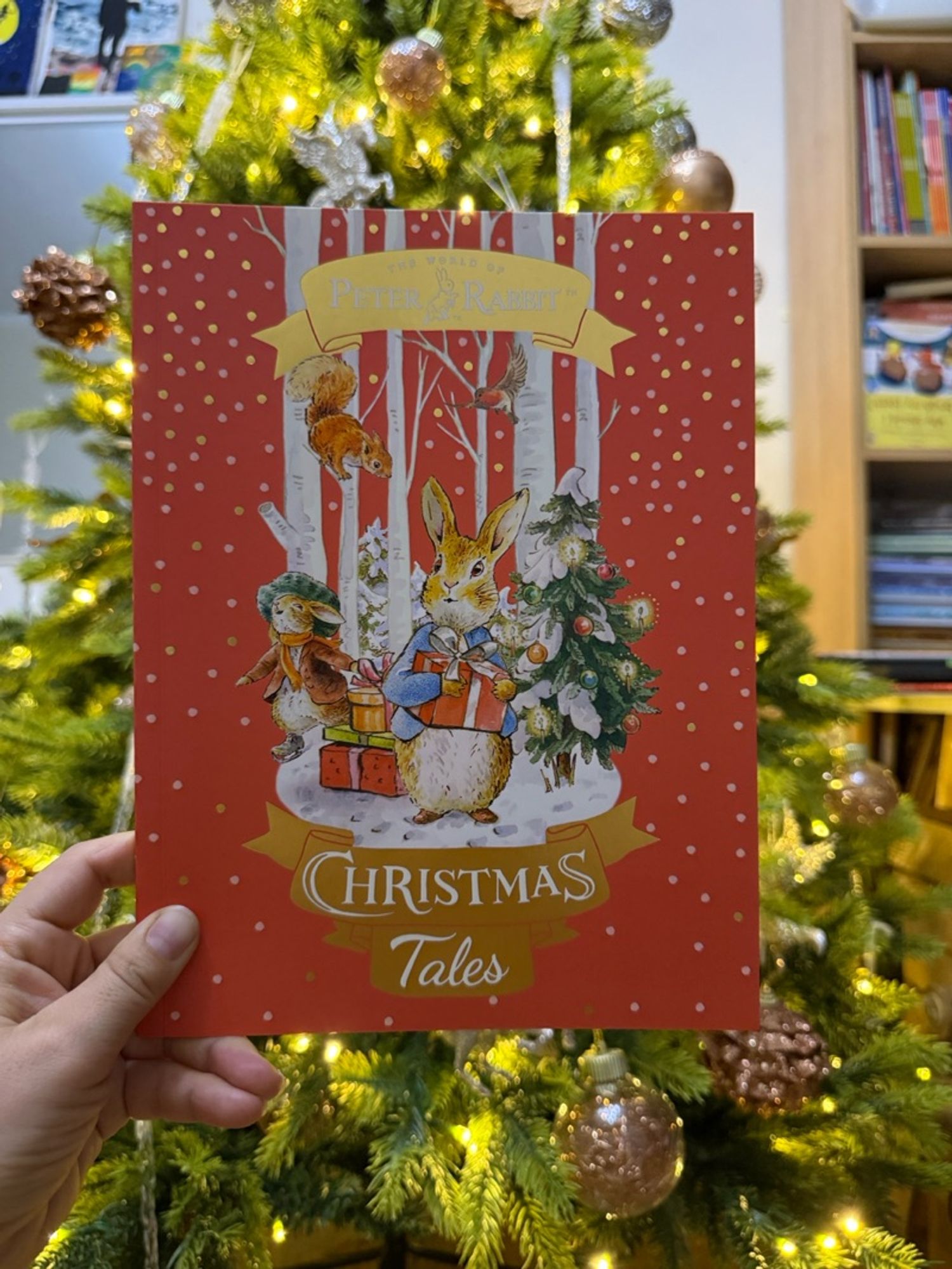 Peter Rabbit Christmas tales!