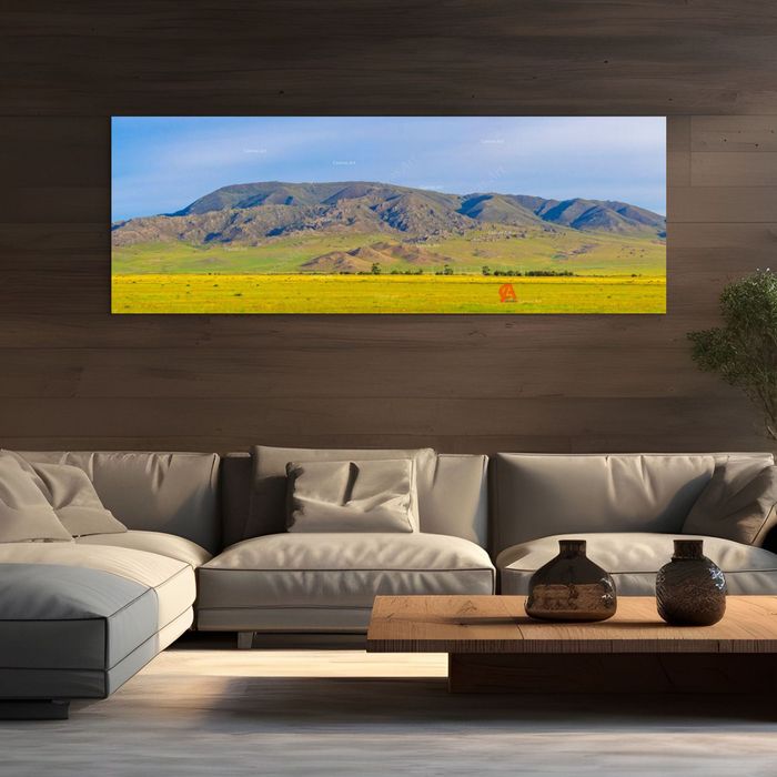 Бүрэнхаан уул