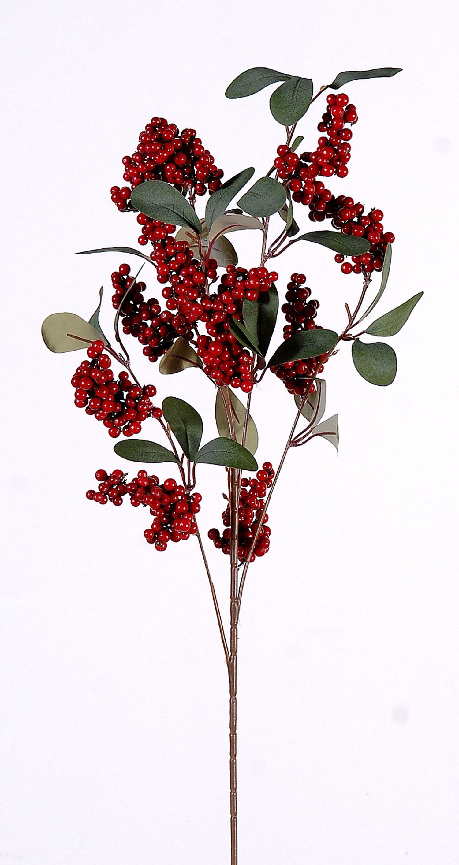 Branch w/red berries & green leaves