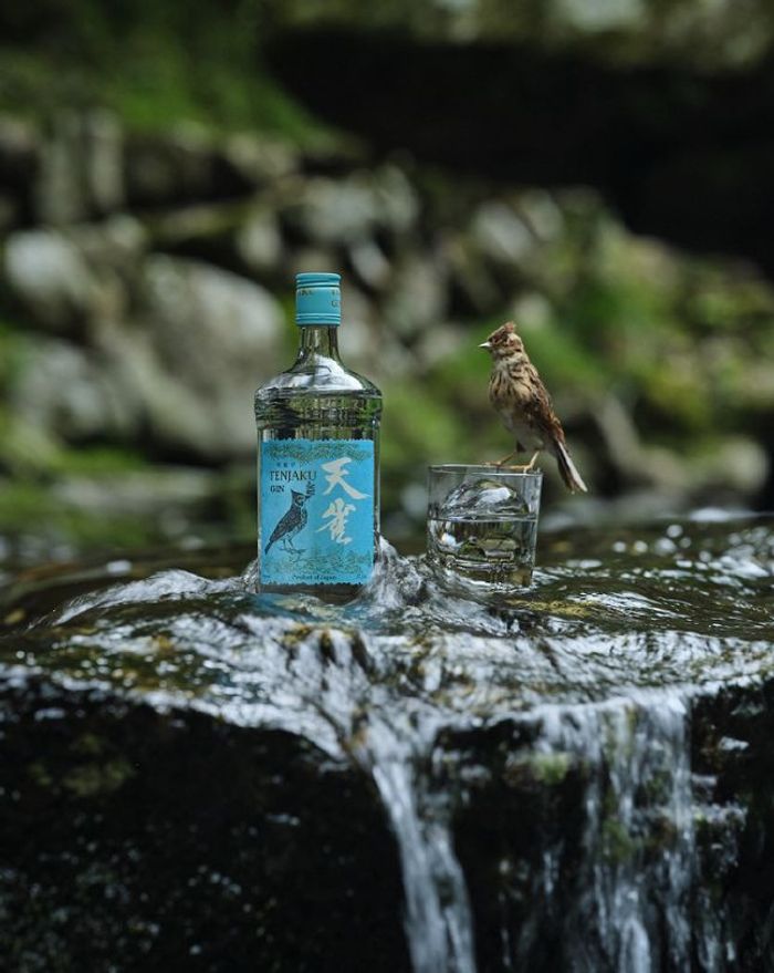 Джин Tenjaku Gin 0.75л