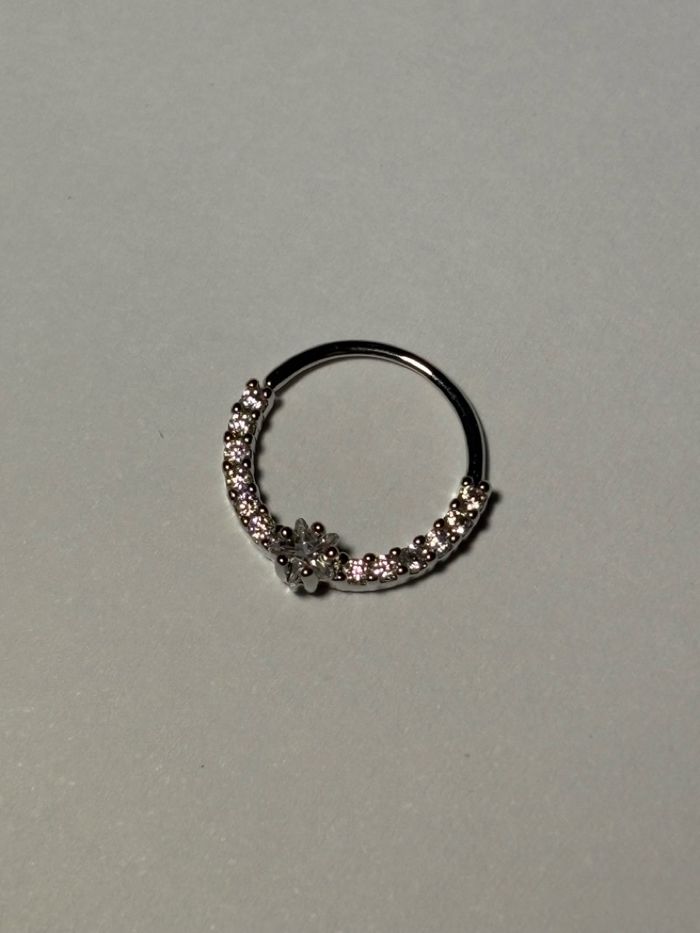 Септум ээмэг