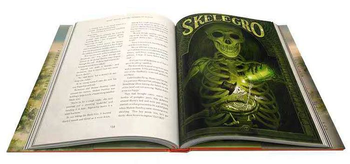 #HARRY_POTTER #4_цуврал_номтой багц