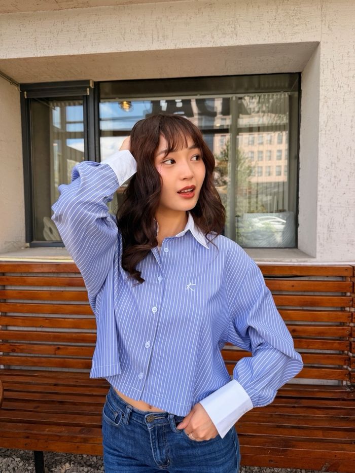 Striped shirt -Cropped 
