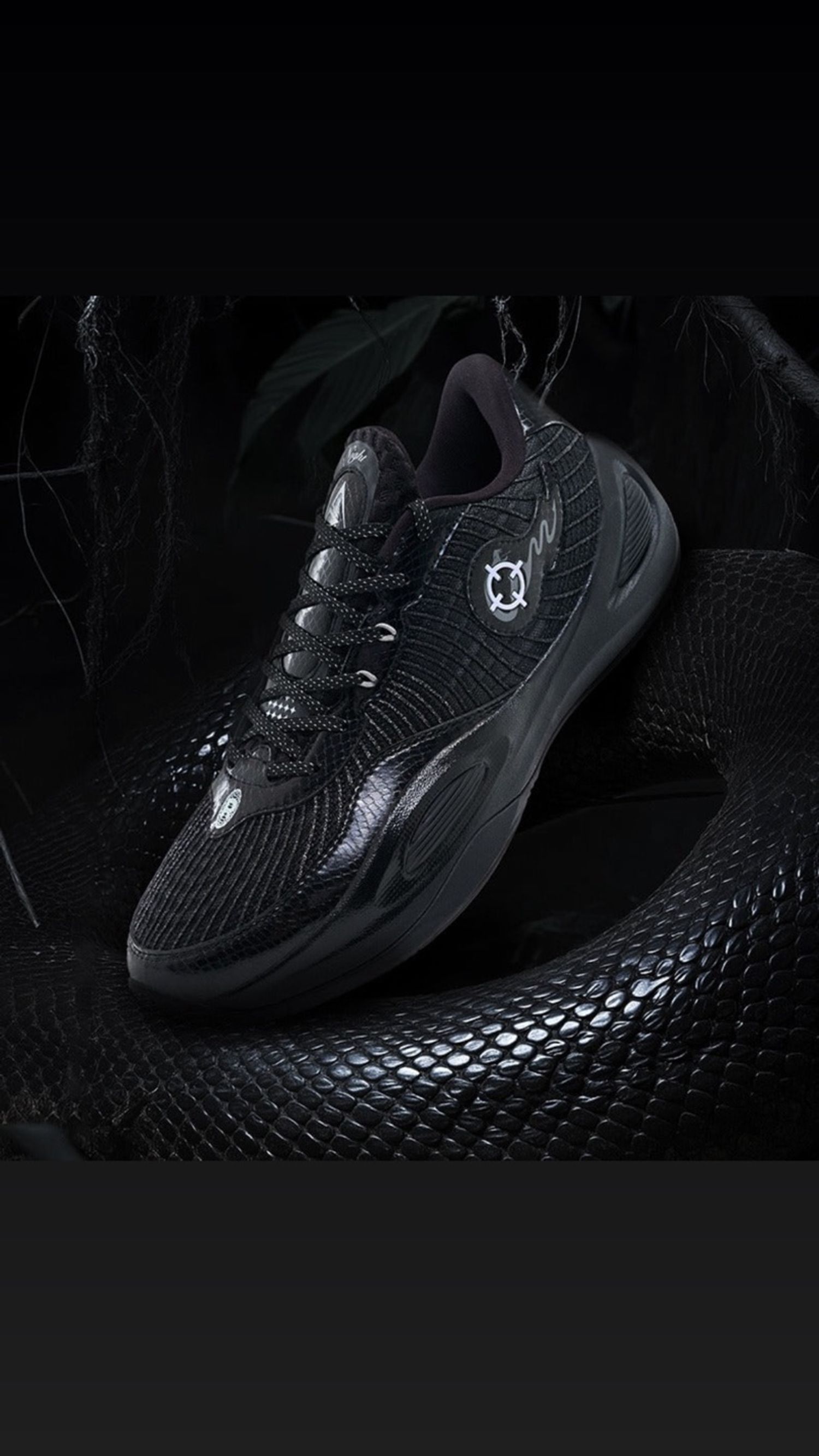 Rigorer AR 1 "Silent Night"