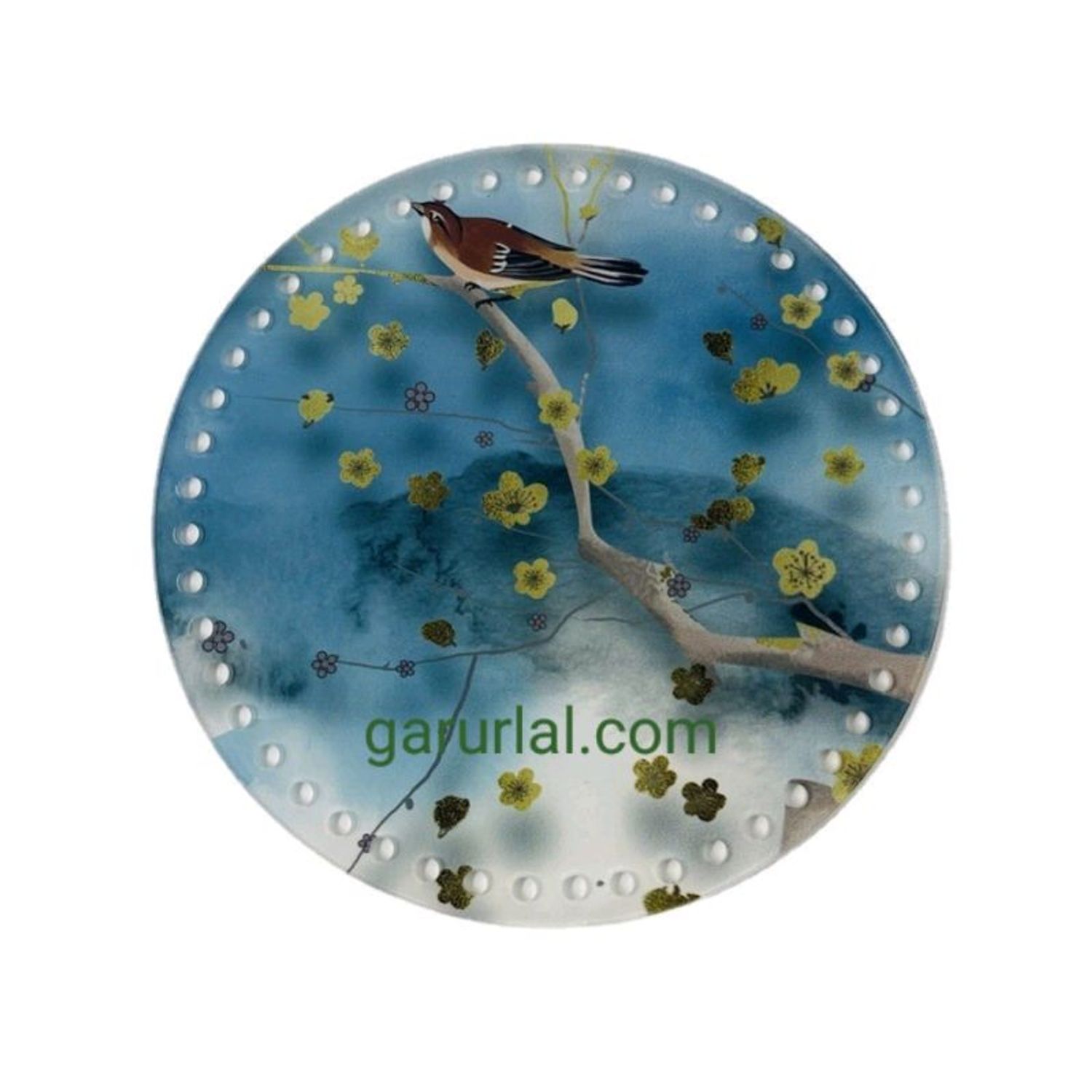 зурагтай дугуй