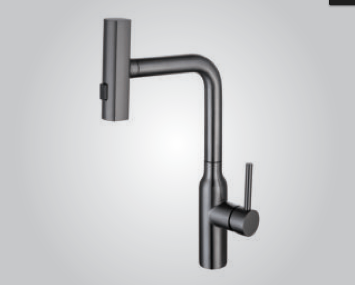 Холигч 304 stainless steel Pull out faucet 