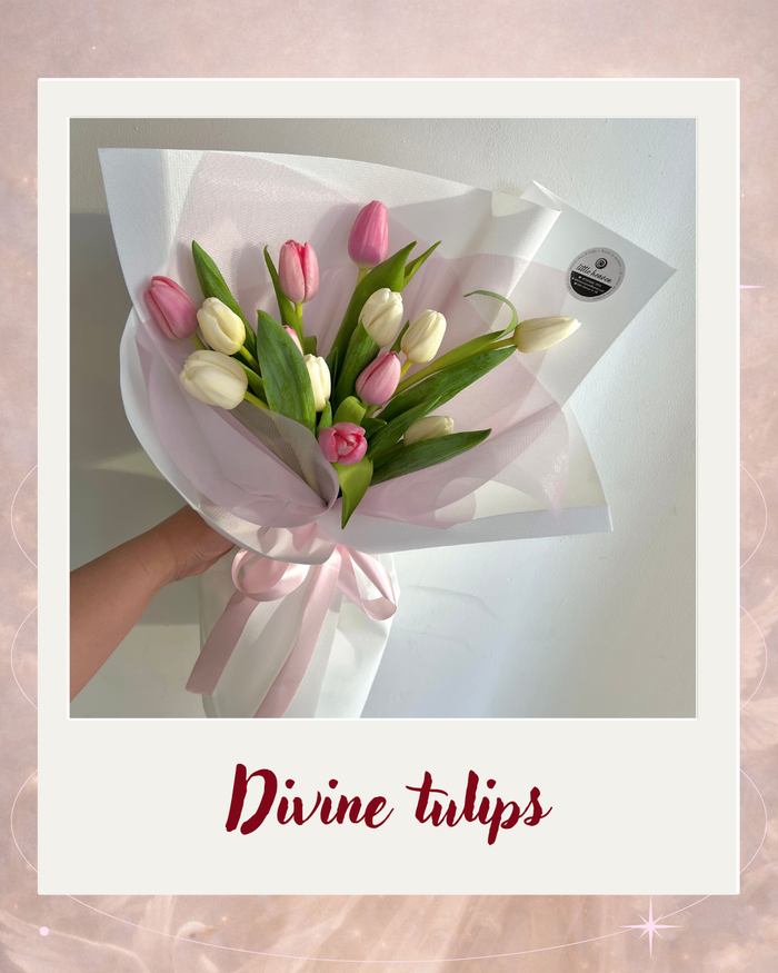 Divine tulips