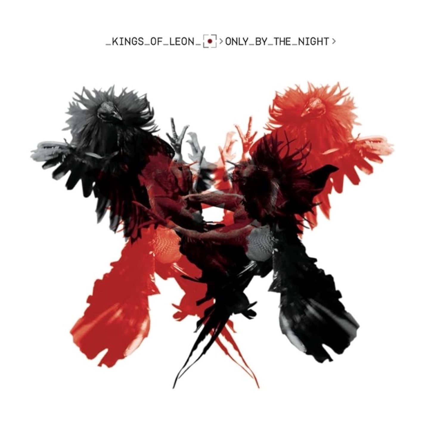 Kings of Leon Only By The Night
