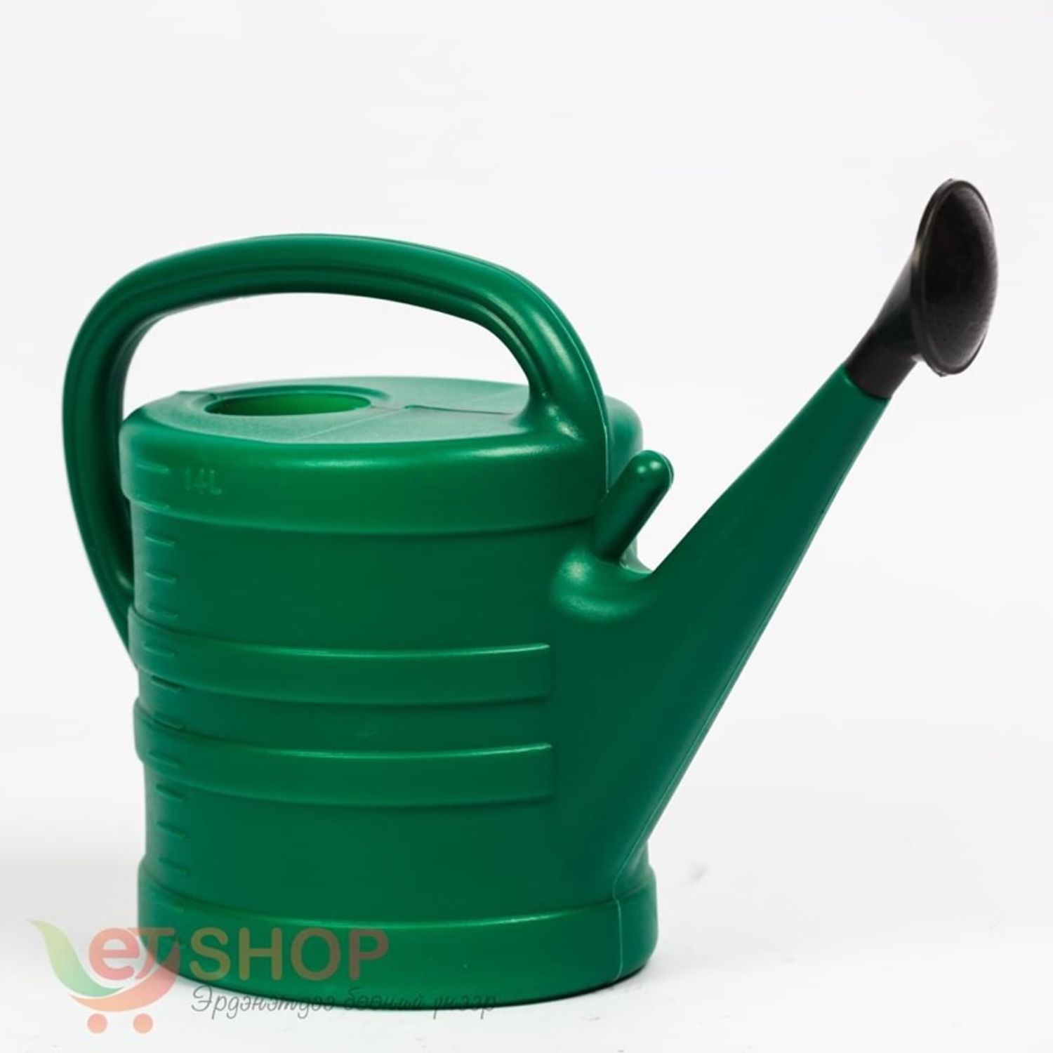 Цэцэг услагч 