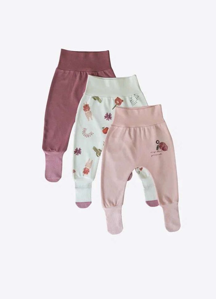 3-тай оймстой өмд