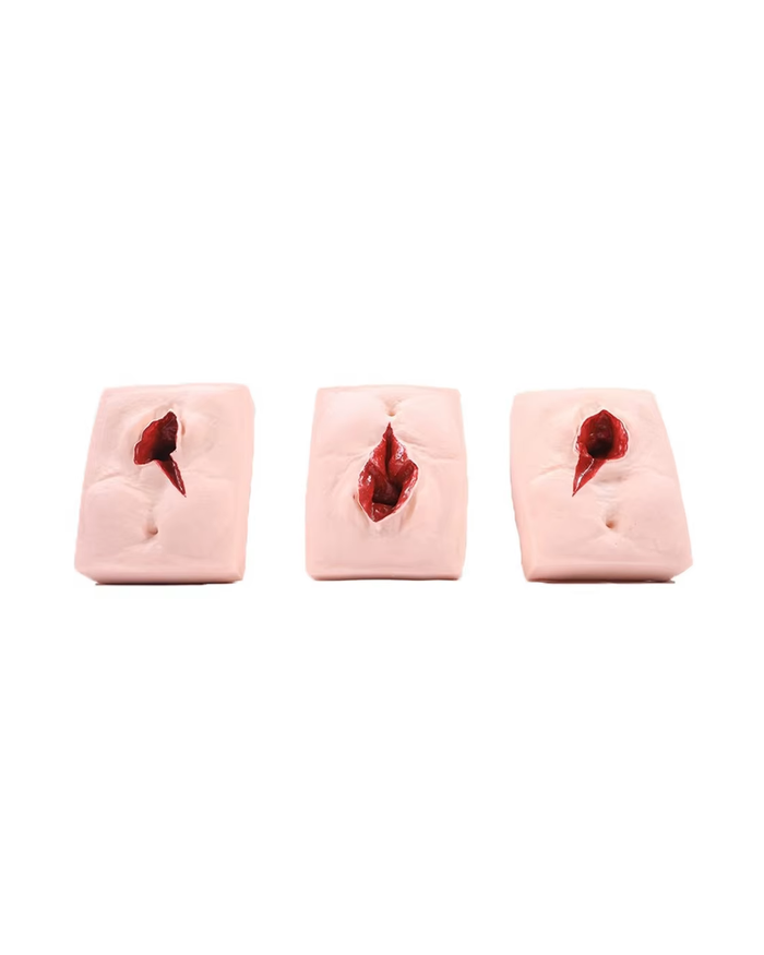 Бэлэг эрхтний оёдлын загвар