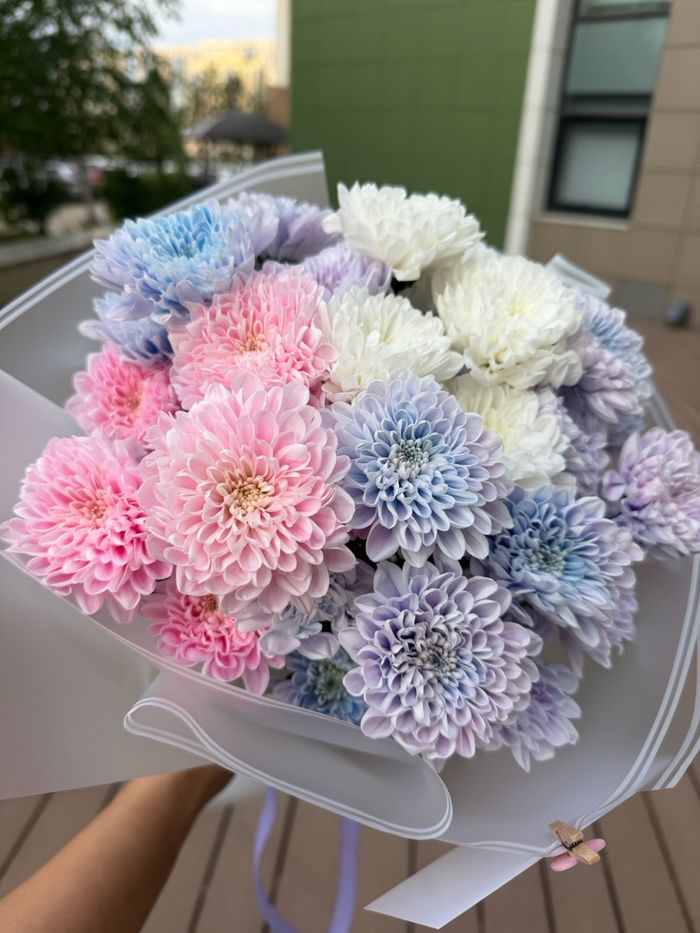 Голланд цэцэг 