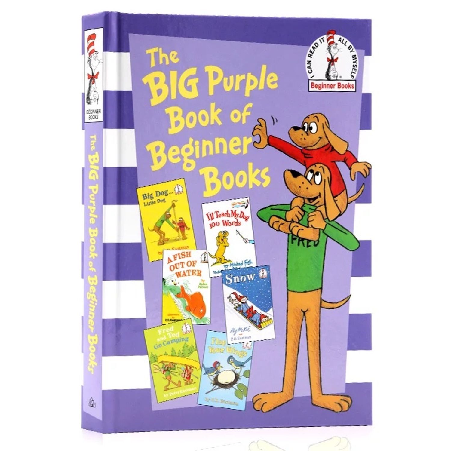 The BIG PURPLE BOOK of beginner books