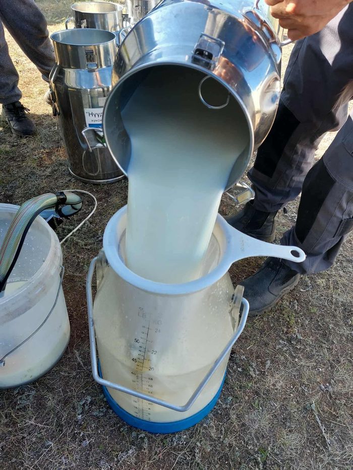 Бидний зуны ажлын хэсгээс..