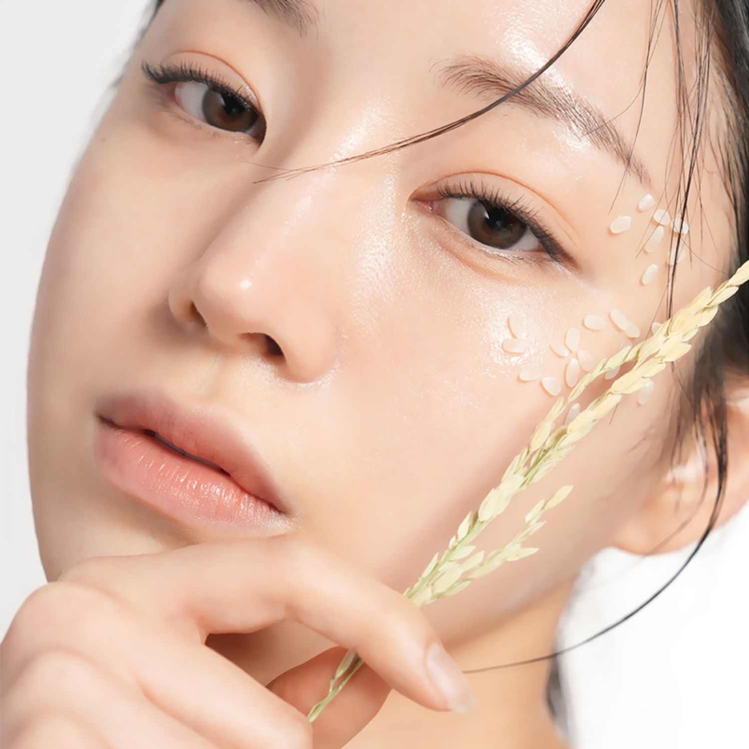 https://cdn.zochil.shop/6cb17e96-7d07-4360-ad95-95ec21b80d36_t1500.jpg