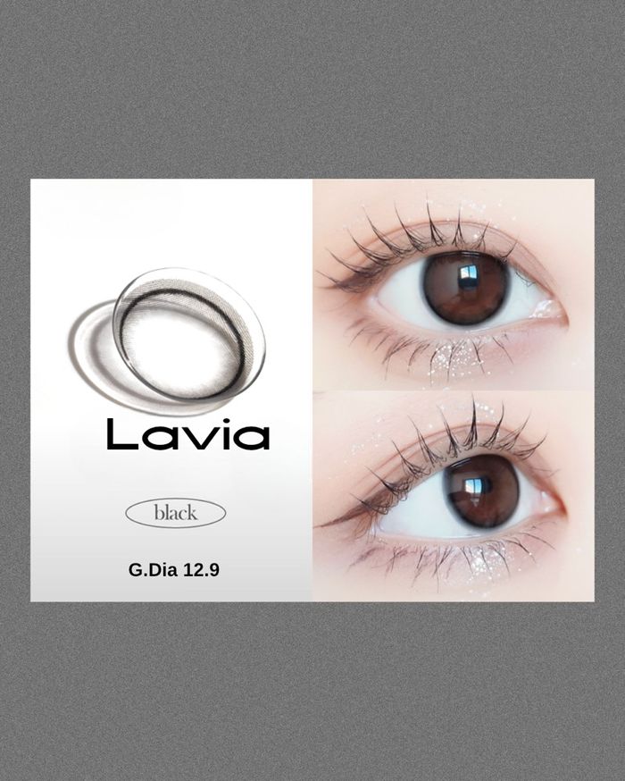 Lavia