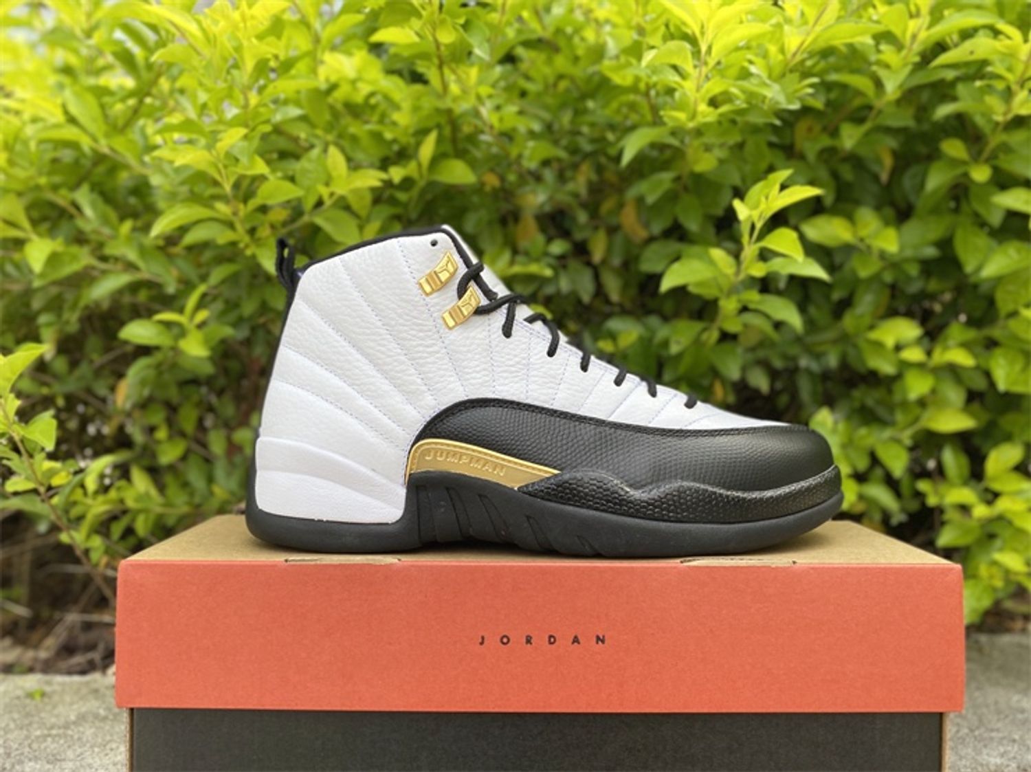 Air Jordan 12 “Royalty”
