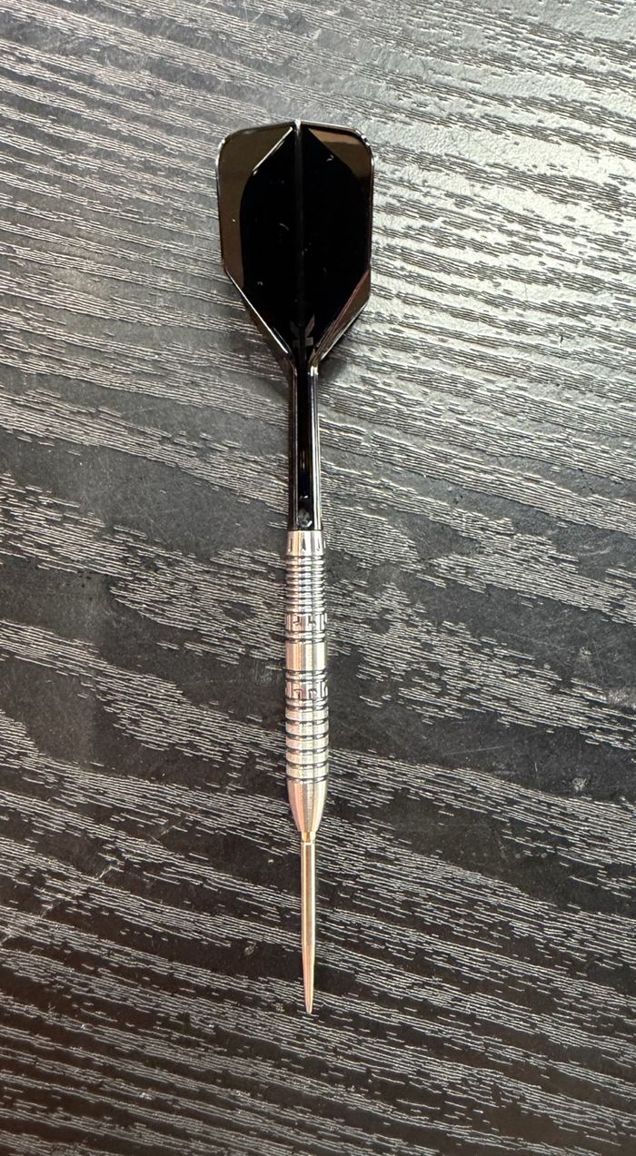 TARGET DISCOVERY CHEN HAILONG - PEGASUS G1 23G STEEL TIP 2026