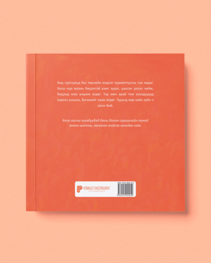 Багш нар юу хийдэг вэ?