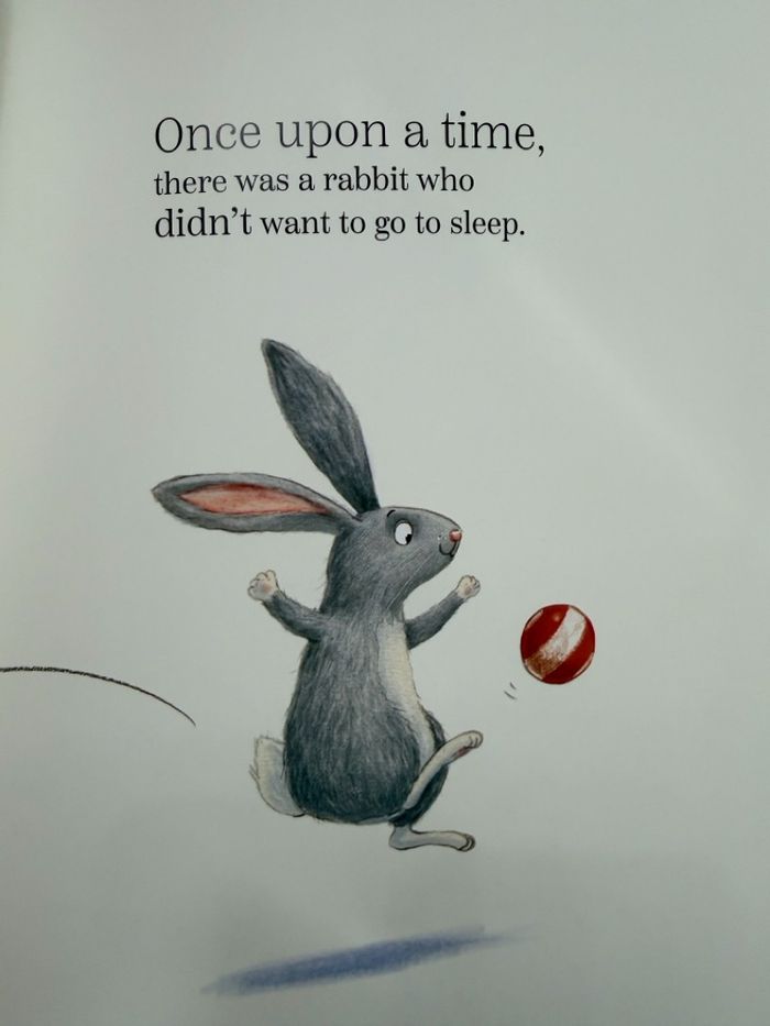 The rabbit the dark and the Biscuit Tin