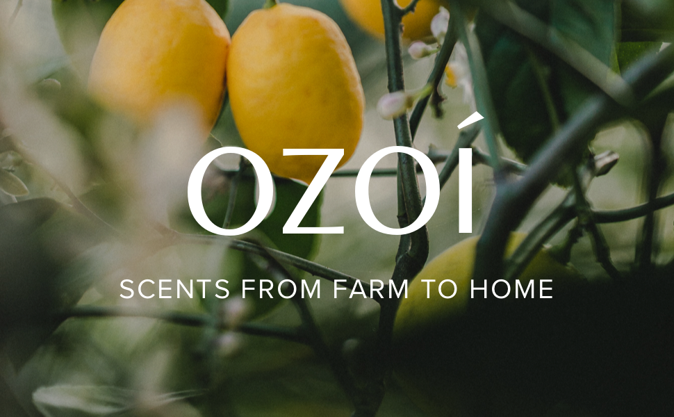  Байгалийн үнэрийг таны гэрт: OZOÍ БРЭНД