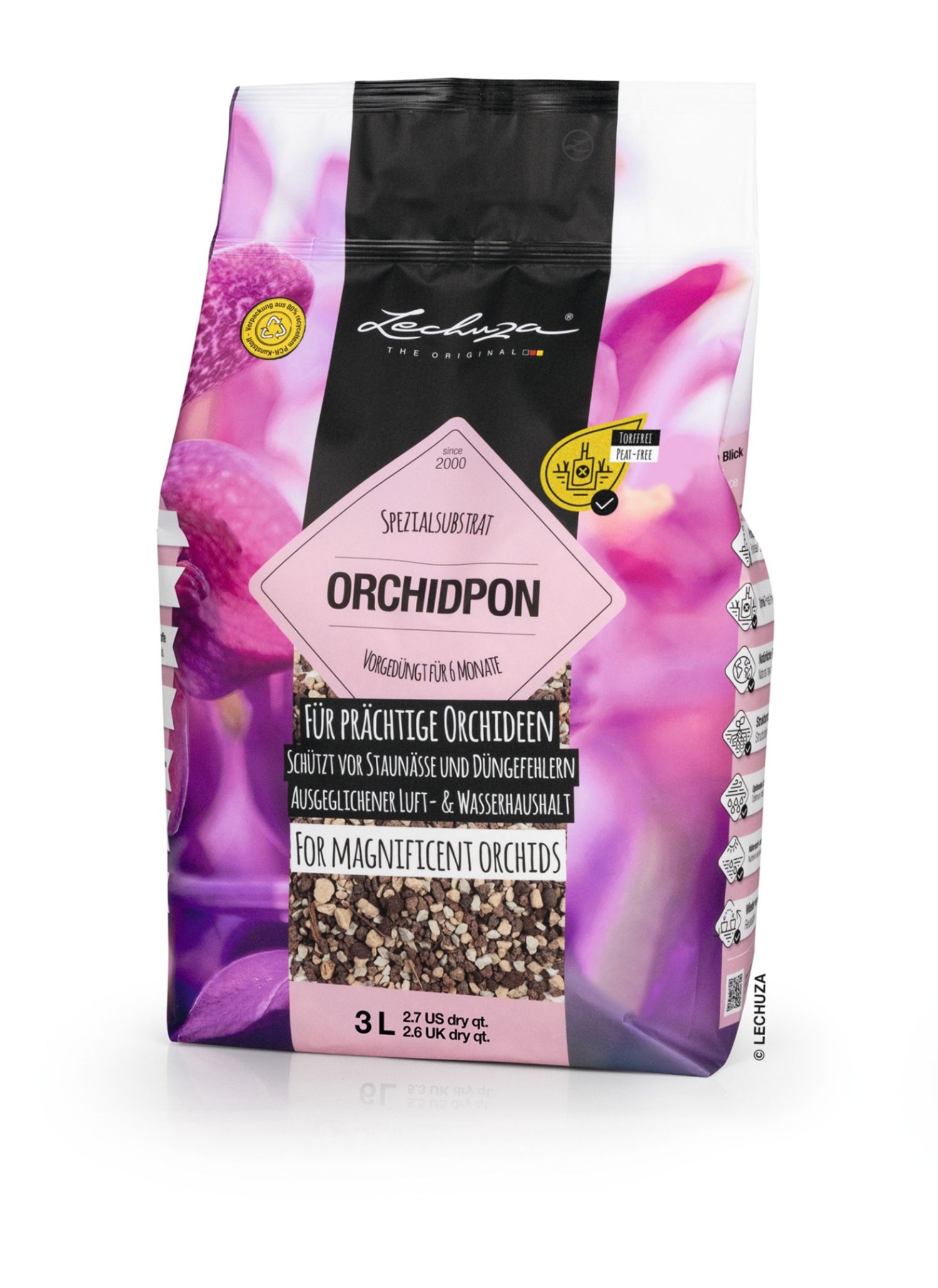 Orchid Pon