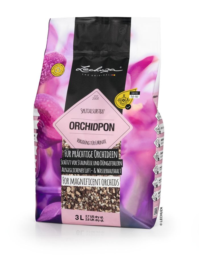 Orchid Pon