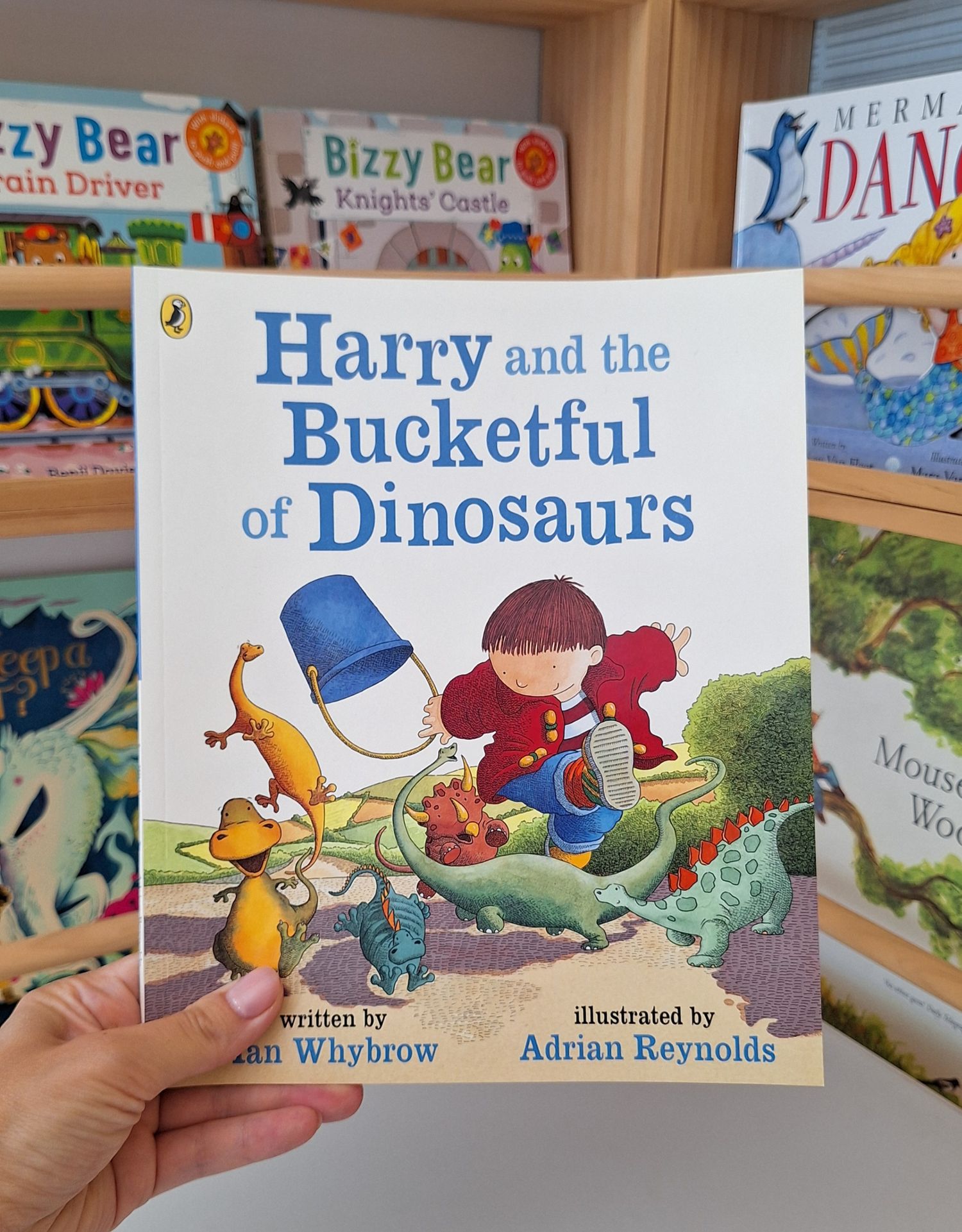 Harry and the Bucketful of Dinosaurs