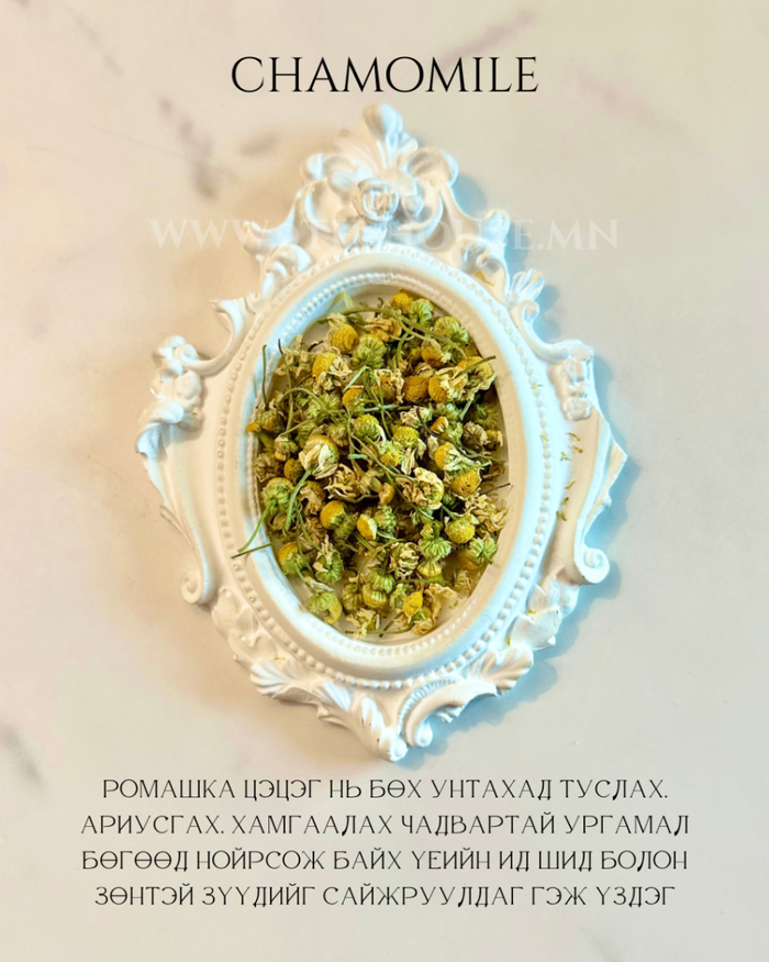 Chamomile | Ромашка