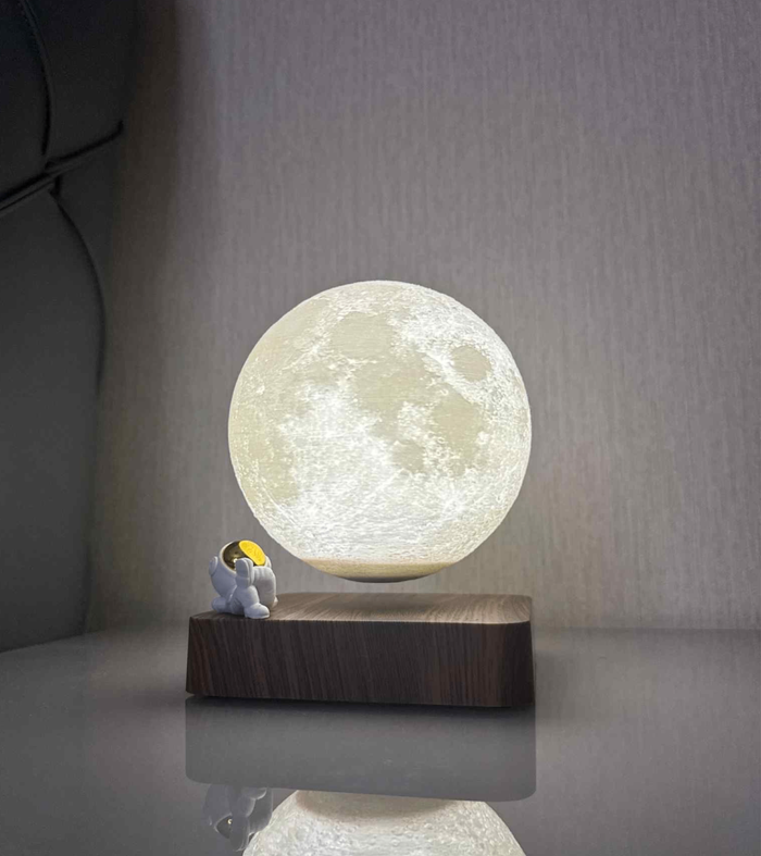 Dream Color Хөвдөг сар