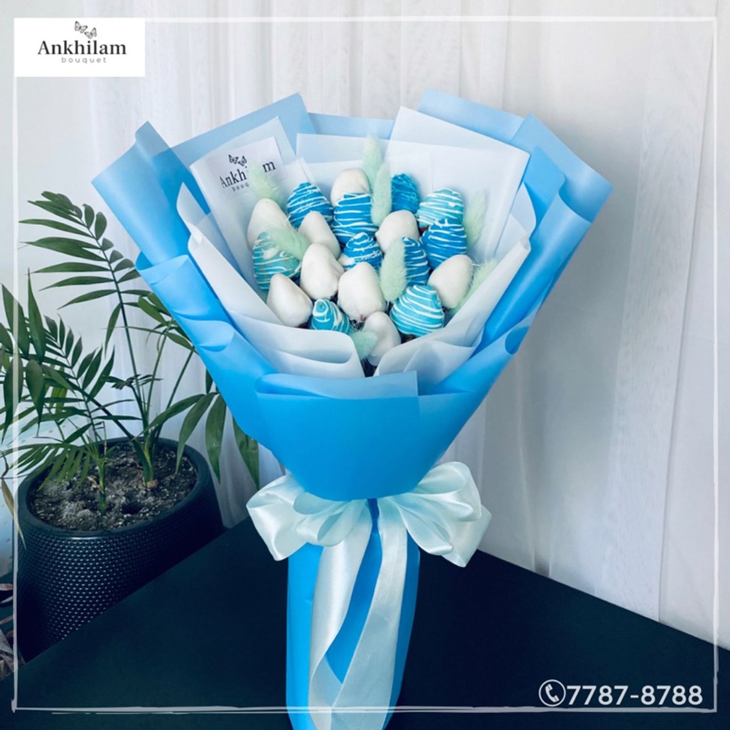 https://cdn.zochil.shop/702060dd-1893-485e-b7ff-5563d7fa7cbc_t1500.jpg