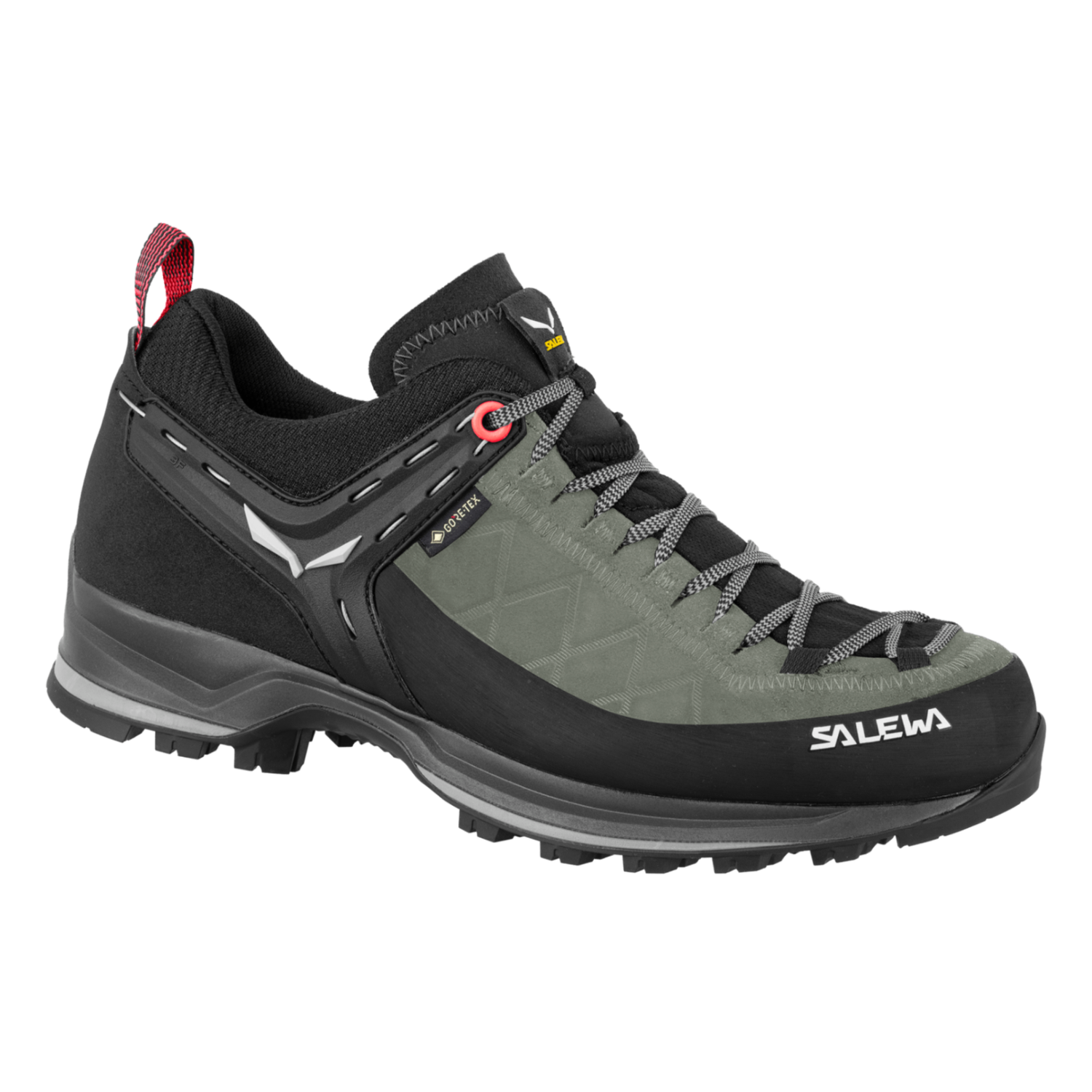 Salewa | Mountain Trainer 2 | GTX | Women
