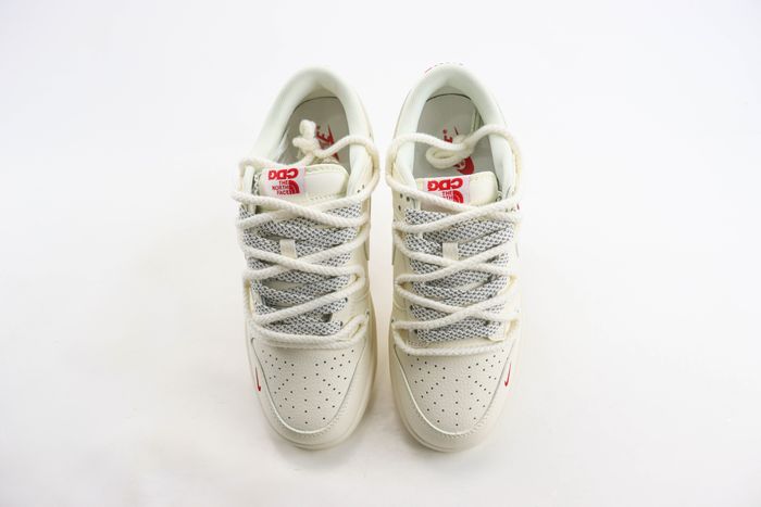 Nike SB Dunk Low x The North Face 29